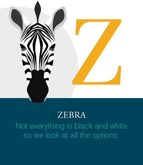 CS Accounnting A-Z graphics Z